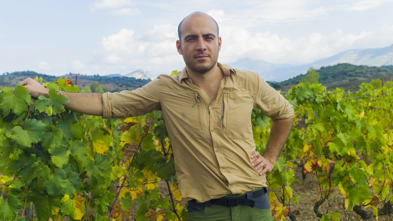 //winemugs.com/wp-content/uploads/2019/01/santa_maria_domaine_thomas-1280x720.jpg