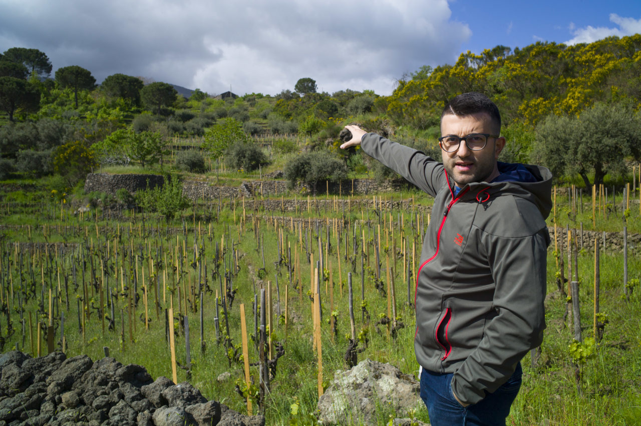 https://winemugs.com/wp-content/uploads/2019/07/Tenuta_Delle_Terre_NereL1008485_winemugs-1280x852.jpg