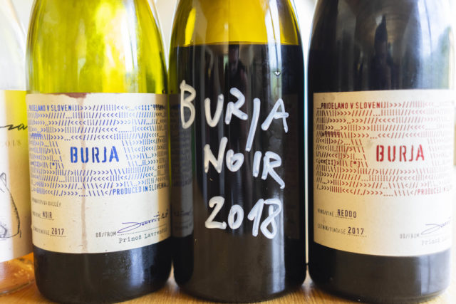 burja noir slovenia wine