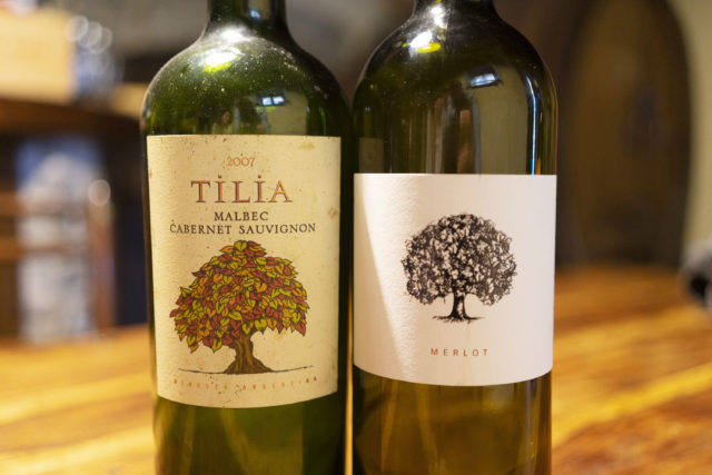 tilia_argentina_slovenia_malbec_cabernet