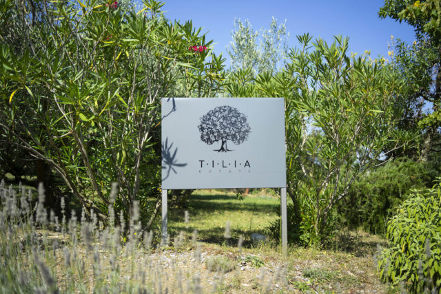 tilia_wine_estate_vipava_valley