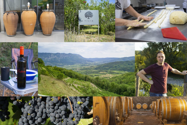 sloveense wijnen, beste wijnen uit slovenie